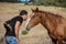 Friendship of a man and a horse