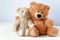 Friendship - two teddy bears holding in one`s arms