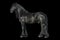 Friesian black horse isolated on the black