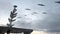 Frigate birds soar next to boat radar mast