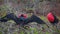 Frigatebirds in Galapagos Islands