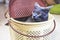 frightened American Burmese cat sits in his cat carrier. taking care of pets.