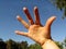 Frightening movement by a female hand, palm with wide open fingers close-up, background with copy space. Imitation of hand