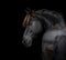 Frisian horse portrait on black background