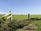 Frisian landscape with windmill