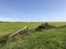 Frisian landscape with windmill