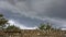 Friulian Storm Clouds