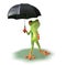 Frog afraid of rain