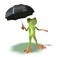 Frog afraid of rain