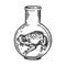 Frog animal in laboratory flask engraving vector