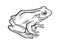 Frog animal sketch engraving vector