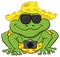 Frog as a tourist with camera, sunglasses and straw hat