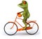 Frog with a bicycle