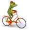 Frog with a bicycle