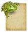 Frog with blank grunge old paper sign