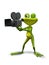 Frog with camcorder