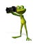 Frog with a camera