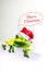 Frog with Christmas hat isolated on white background