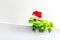 Frog with Christmas hat isolated on white background