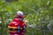 Frog driving red car on the grass