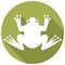 Frog flat icon vector illustration