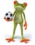 Frog and football