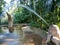 Frog fountain at the bird park in Brazil