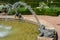 Frog fountain in a white garden, south of France