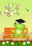 Frog graduate