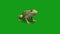 Frog with green screen background