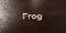 Frog - grungy wooden headline on Maple - 3D rendered royalty free stock image