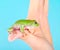 Frog on hand