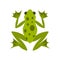 Frog icon, flat style