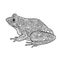 Frog isolated. Black and white ornamental doodle frog