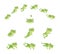 Frog jump. Isolated jumping green frogs, motion process animation. Sequence movement character. Cute cartoon toad leap