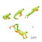 Frog jumping by sequence cartoon vector illustration