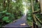 Frog perspective bridge through Juan Castro Blanco National Park