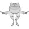 Frog polygonal lines illustration.