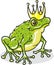 Frog prince princess royal vector element illustration