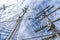 Frog`s view of the masts, rigging and ropes of a large sailing vessel