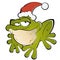 Frog with Santa hat