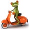 Frog in scooter