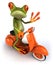 Frog on a scooter