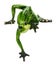 Frog sculpture isolated on the white background