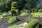 Frog shaped bushed in green landscaped gardens