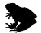 Frog silhouette