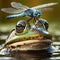 Frog sits in pond with dragonfly perched on nose