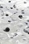 Frog spawn  graphical image