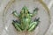 Frog statue in BacalhÃ´a Buddha Eden, Bombarral, Portugal