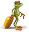 Frog and suitcase